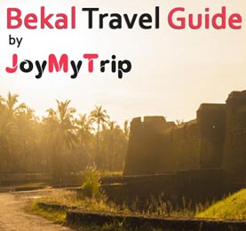 Joy My Trip Travel Agent