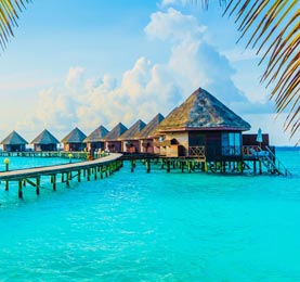 best travel agents in delhi